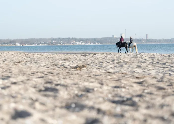 Wohnpark Am Muehlenteich - 24